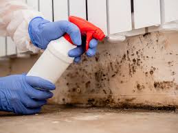 Best Crawl Space Mold Remediation  in Winchester, MO